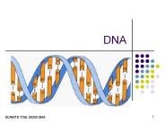 DNA