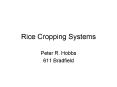 Rice Cropping Systems PowerPoint PPT Presentation