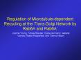 Regulation of Microtubuledependent Recycling at the TransGolgi Network by Rab6A and Rab6A PowerPoint PPT Presentation