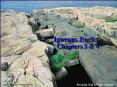 Igneous Rocks PowerPoint PPT Presentation