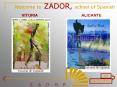Welcome to ZADOR, school of Spanish VITORIA ALICANTE PowerPoint PPT Presentation