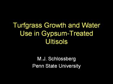Turfgrass Growth and Water Use in Gypsum-Treated Ultisols