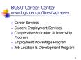 BGSU Career Center www.bgsu.edu/offices/sa/career PowerPoint PPT Presentation