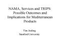 NAMA, Services and TRIPS: Possible Outcomes and Implications for Mediterranean Products PowerPoint PPT Presentation