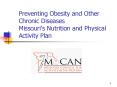 Preventing Obesity and Other Chronic Diseases Missouris Nutrition and Physical Activity Plan PowerPoint PPT Presentation