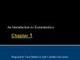 An Introduction to Econometrics PowerPoint PPT Presentation