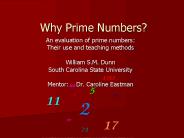 Why Prime Numbers?