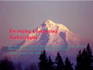817-Emerging Computer Technologies