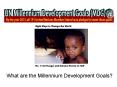 What are the Millennium Development Goals PowerPoint PPT Presentation