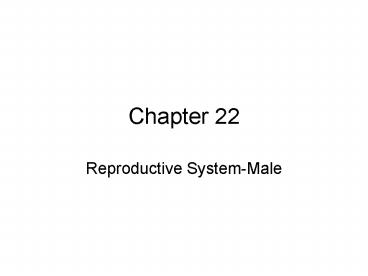 Reproductive SystemMale