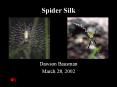 Spider Silk PowerPoint PPT Presentation