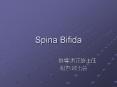 Spina Bifida PowerPoint PPT Presentation