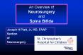 An Overview of Neurosurgery and Spina Bifida PowerPoint PPT Presentation