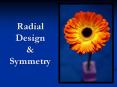 Radial Design PowerPoint PPT Presentation