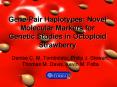 GenePair Haplotypes: Novel Molecular Markers for Genetic Studies in Octoploid Strawberry PowerPoint PPT Presentation