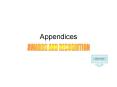 Appendices PowerPoint PPT Presentation