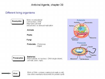 Antiviral Agents, chapter 39