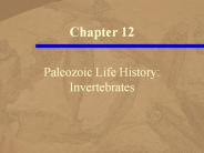 Paleozoic Life History: Invertebrates