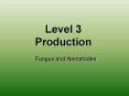 Level 3 Production PowerPoint PPT Presentation