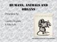 Humans, animals and organs PowerPoint PPT Presentation
