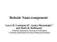 Robotic Nanocomponent PowerPoint PPT Presentation