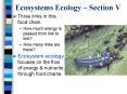 Ecosystems Ecology Section V PowerPoint PPT Presentation
