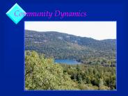 Community Dynamics