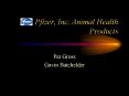 Pfizer, Inc' Animal Health Products PowerPoint PPT Presentation