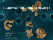 Tularemia: The Rabbit