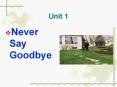 Never Say Goodbye PowerPoint PPT Presentation