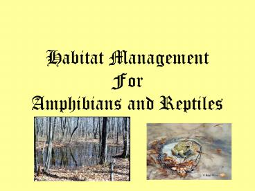 Habitat Management For Amphibians and Reptiles