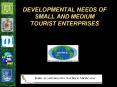 DEVELOPMENTAL NEEDS OF SMALL AND MEDIUM TOURIST ENTERPRISES PowerPoint PPT Presentation
