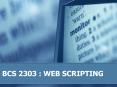 BCS 2303 : WEB SCRIPTING PowerPoint PPT Presentation