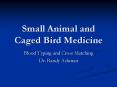 Small Animal and Caged Bird Medicine PowerPoint PPT Presentation
