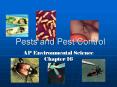 Pests and Pest Control PowerPoint PPT Presentation