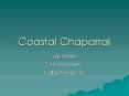Coastal Chaparral PowerPoint PPT Presentation