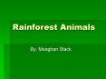 Rainforest Animals PowerPoint PPT Presentation