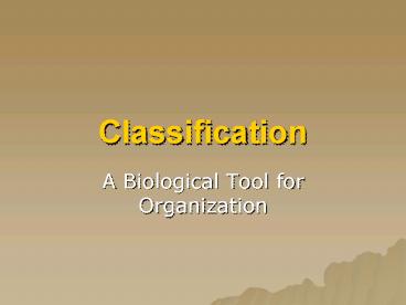 PPT – Classification PowerPoint presentation | free to view - id: 63669 ...
