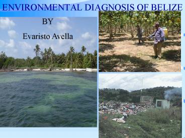 ENVIRONMENTAL DIAGNOSIS OF BELIZE