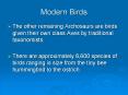 Modern Birds PowerPoint PPT Presentation