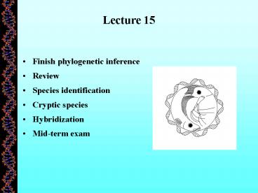 Finish phylogenetic inference