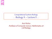 Computational Systems Biology 