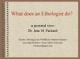 What does an Ethologist do PowerPoint PPT Presentation