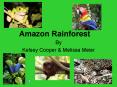 Amazon Rainforest PowerPoint PPT Presentation