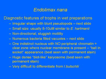 Endolimax nana