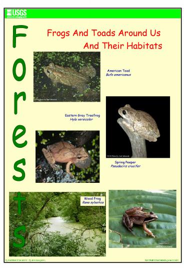 Frogs and Toads Around Us And Their Habitats