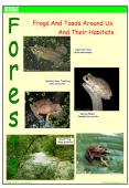 Frogs and Toads Around Us And Their Habitats PowerPoint PPT Presentation