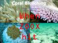 Coral Bleaching PowerPoint PPT Presentation