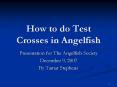 How to do Test Crosses in Angelfish PowerPoint PPT Presentation