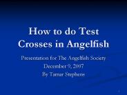 How to do Test Crosses in Angelfish